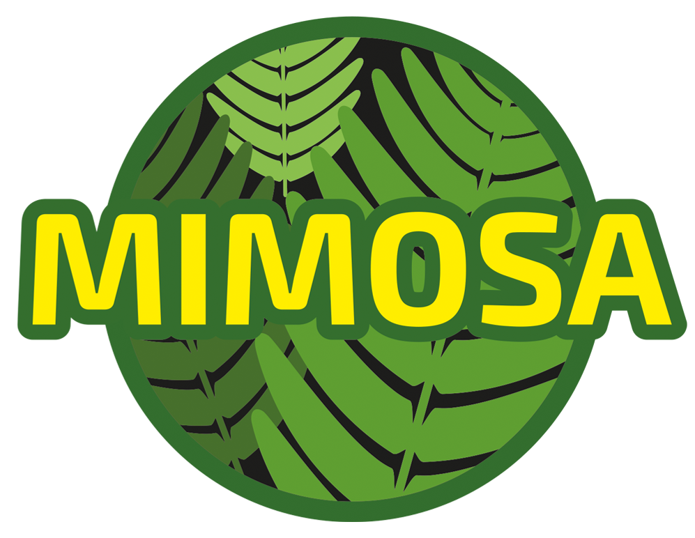 Mimosa mindfulness & loopbaancoaching